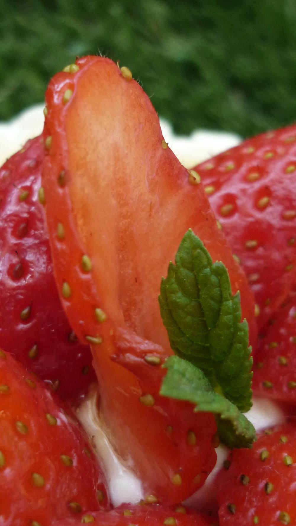 Miss Bobby_Fraise Réalisations pâtissières et printanières