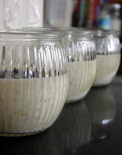 Tapioca aux fruits rouges DSC09839-copie-1.JPG