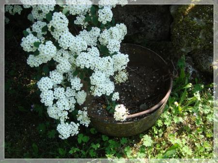 Pour vous... Pour vous...