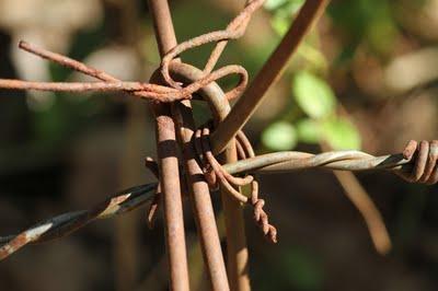 Derrière chez moi (2) Derrière chez moi (2)