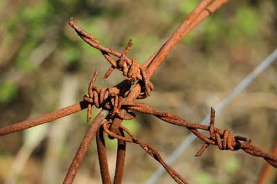 Derrière chez moi (2) Derrière chez moi (2)