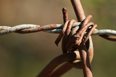 Derrière chez moi (2) Derrière chez moi (2)