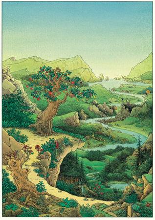 Quinze illustrateurs mavallee