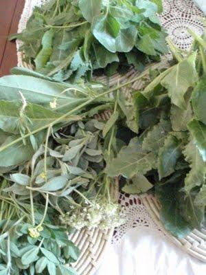 Une semaine de vacances sur le littoral Une semaine de vacances sur le littoral