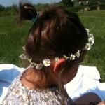 Pâquerettes Pâquerettes