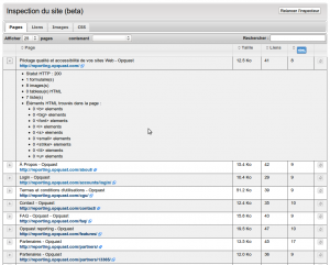 inspecteur inspecteur