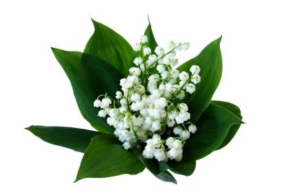 fete muguet chocolat livraison fete du muguet