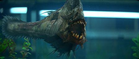 piranha-3d_510.jpg