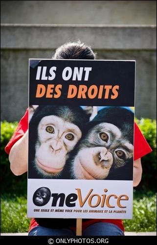 Manifestation contre la Vivisection, Paris. 23 avril 2011. manif-anti-vivisection-014