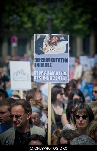 Manifestation contre la Vivisection, Paris. 23 avril 2011. manif-anti-vivisection-010