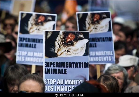 Manifestation contre la Vivisection, Paris. 23 avril 2011. manif-anti-vivisection-013