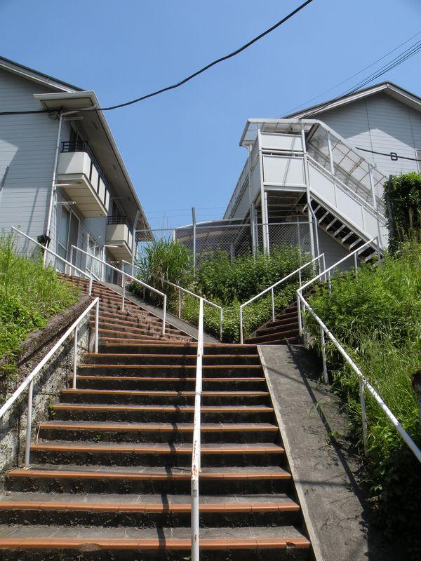 Le lendemain, c'est le printemps ... DSCN5443