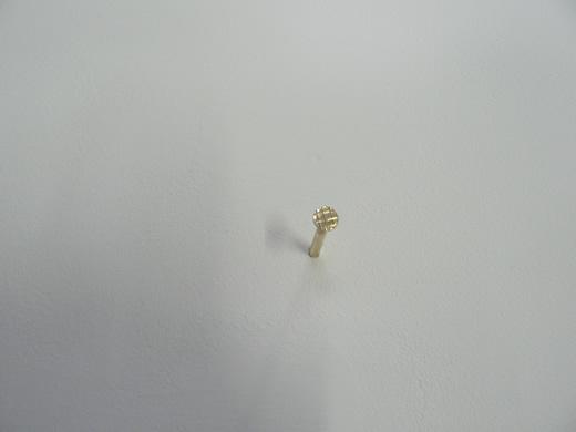 Vlad et Alina TURCO le-clou-de-lexposition.1303374884.jpg