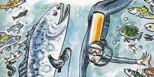 Couverture de l'ouvrage de François Feer, Le monde des livres