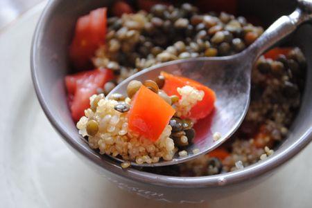 Salade de lentilles et quinoa Quinoa3