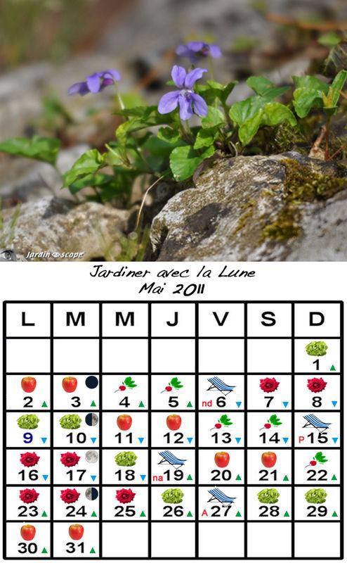 Jardiner avec la lune en Mai 2011 Jardiner_avec_la_lune_Mai_2011