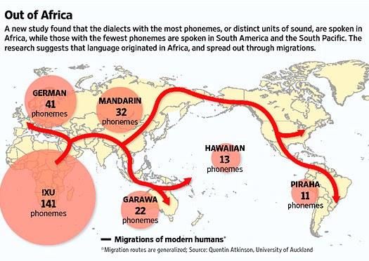 La naissance du langage humain aurait eu lieu en Afrique repartition-langues-phonemes-mondial