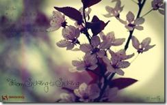 fromspringtospring__40 fromspringtospring 40 thumb Les fonds d’écrans calendrier du mois de Mai