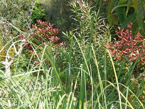 Avril 2011 : la sécheresse nous guette... Avril 2011 : la sécheresse nous guette...