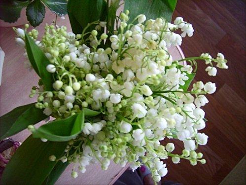 NOUVEAU CONCOURS : FRAISES OU FRAMBOISES EN FOLIE muguet 3