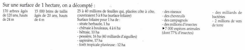 Exemples d’écosystèmes : Forêt et milieu lentique