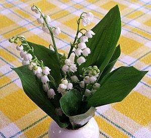 1er mai 1er-mai--Bouquet-de-muguet-.jpg