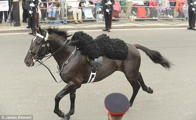 Kate et William: un cheval fait cavalier seul à côté du Landeau princier.... et les dernières images de samedi matin Kate et William: un cheval fait cavalier seul à côté du Landeau princier.... et les dernières images de samedi matin