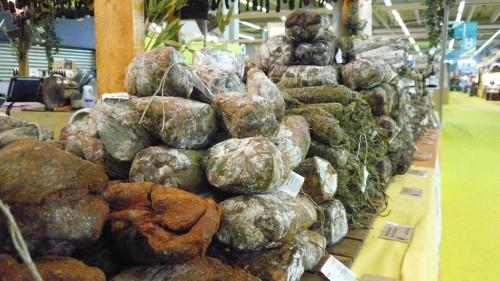 P1160873 UN WEEK-END A LA FOIRE DE PARIS…