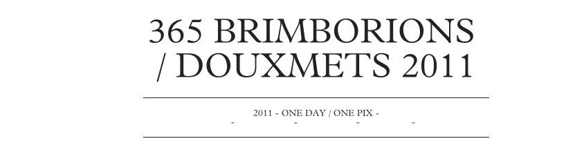 brimborions 365 Douxmets 2011365brimborions.tumblr.com  365 / one day, one pix, #04