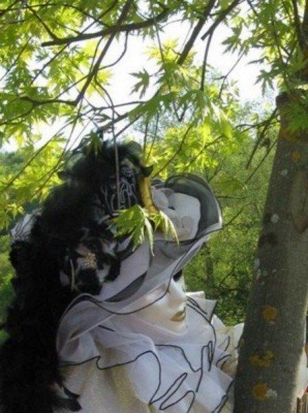 Venise au pays des renards Masque venitien A.L.