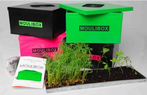 Moulibox, le composteur design pour particulier !