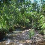 Première traversée de ruisseau (vers Malaris, Kalimantan Sud, Indonésie)