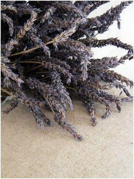 NATUREL ...
Entre deux bavardages Créations Prendr... DSCF6121