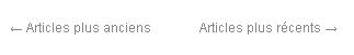 La pagination par défaut des blogs WordPress La pagination par défaut des blogs WordPress