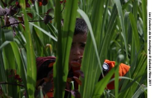 Hernān Ocampo Des fleurs contre des fusils