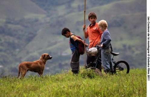 Les couleurs de la montagne Des fleurs contre des fusils