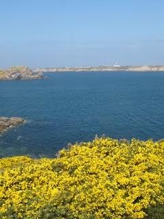 Ouessant - Miscellanées Ouessant - Miscellanées