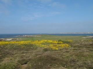 Ouessant - Miscellanées Ouessant - Miscellanées