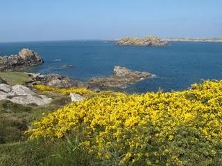 Ouessant - Miscellanées Ouessant - Miscellanées