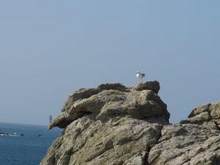 Ouessant - Miscellanées Ouessant - Miscellanées