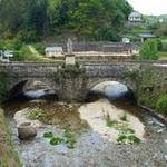 Estaing : petit pont à la sortie d'Estaing, sur le quaie du lot, vers Espalion notre prochaine destination P1060174.JPG