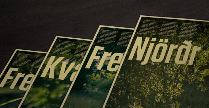 Éric le Tutour, un jeune designer graphique passionné