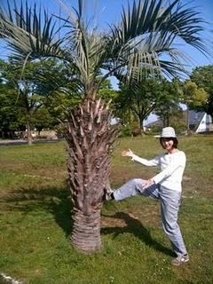 Journée au parc ! Journée au parc !