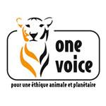 Les alternatives aux tests de toxicité sur animaux