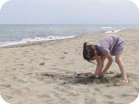 De retour à la maison... P1250642