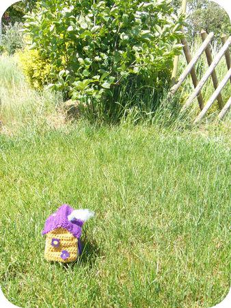 De retour à la maison... P1250753