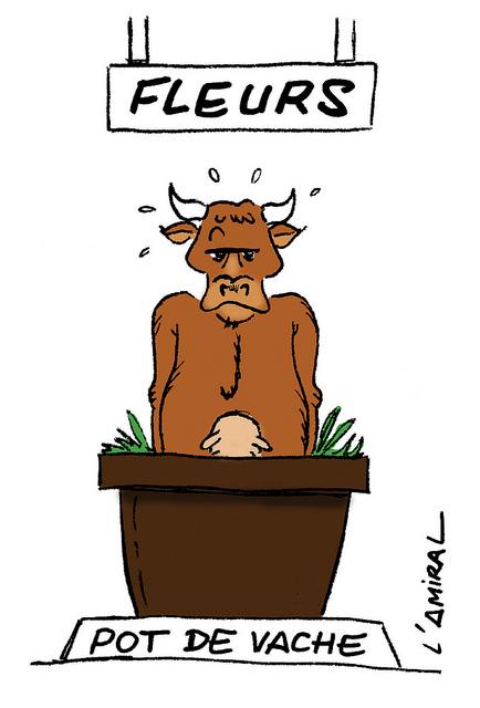 Ah la vache_Jardinerie Ah la vache ! comme j’te pousse