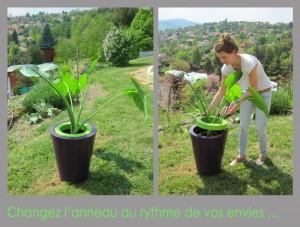 ring2 Green colors des pots plein de pep’s