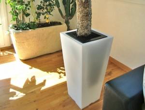 stark-line-04 Green colors des pots plein de pep’s