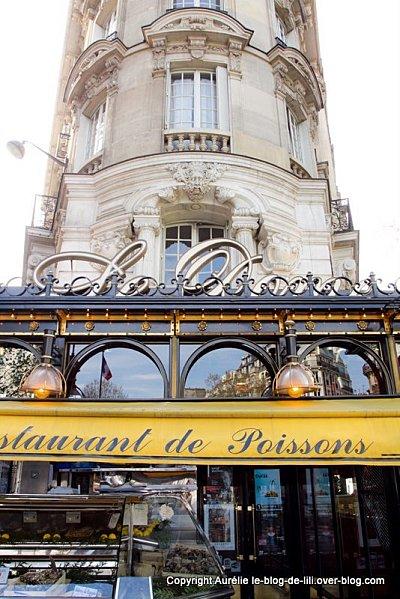 Montparnasse-4-dome.jpg